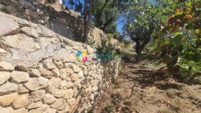 House in Oria photo 10