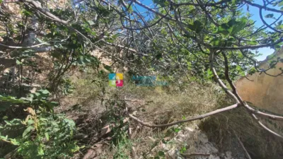 House in Oria photo 20