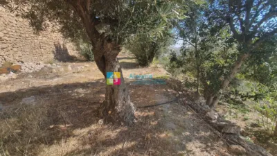 House in Oria photo 21