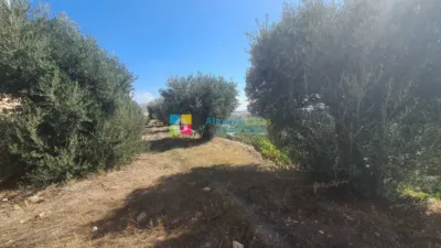 House in Oria photo 22