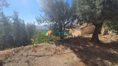 House in Oria photo 24