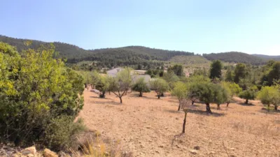 Casa – Villena, Las Virtudes - Vista 5
