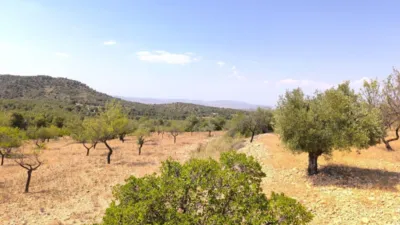 Casa – Villena, Las Virtudes - Más