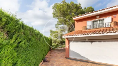Villa in Chiva photo 62