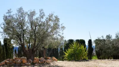 Rustic Finca in Jumilla photo 20