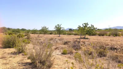 Rustic Finca in Villena photo 13