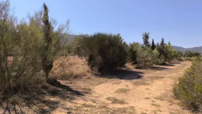 Rustic Finca in Villena photo 14