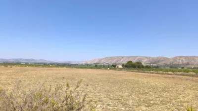 Rustic Finca in Villena photo 15