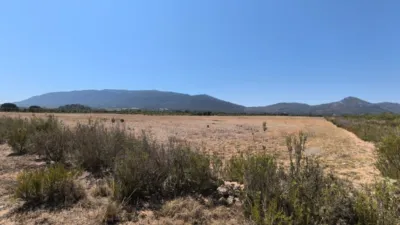 Rustic Finca in Villena photo 16