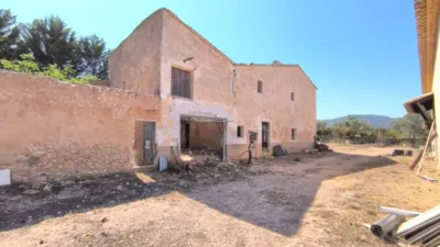 Rustic Finca in Villena photo 4