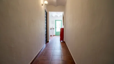 House in El Pinós - Pinoso photo 4
