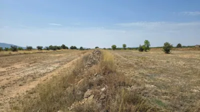 Terreno en venta en El Pinós - Pinoso - Vista 2