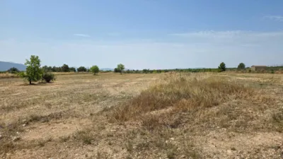 Terreno en venta en El Pinós - Pinoso - Vista 3