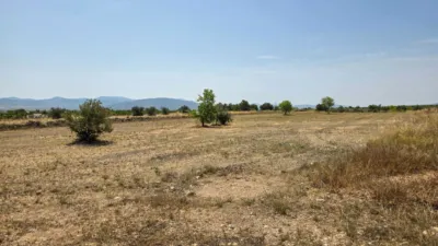 Terreno en venta en El Pinós - Pinoso - Vista 4