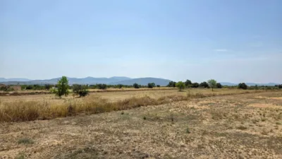 Terreno en venta en El Pinós - Pinoso - Vista 5