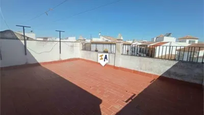 House in El Rubio photo 3