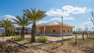 Chalet in El Pinós - Pinoso photo 2