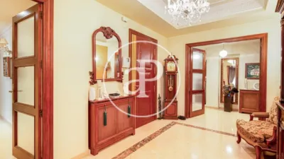 Apartment in El Pla del Remei photo 15