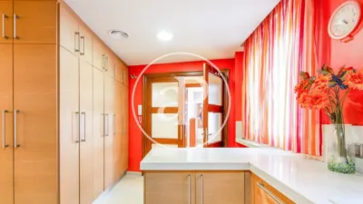 Apartment in El Pla del Remei photo 24