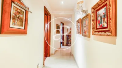 Apartment in El Pla del Remei photo 27