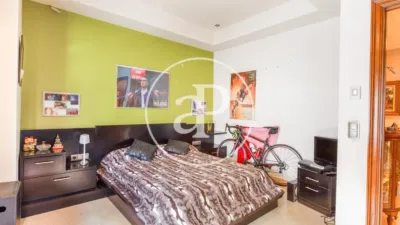 Apartment in El Pla del Remei photo 30