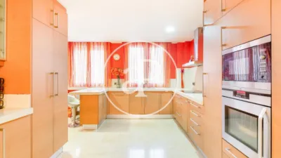 Apartment in El Pla del Remei photo 8