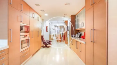 Apartment in El Pla del Remei photo 9