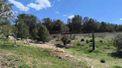 Casa – l'Alt Vinalopó / El Alto Vinalopó - Vista 5