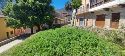 House in Alles photo 40