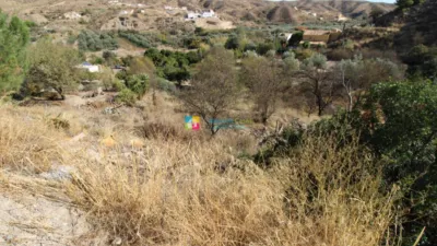 Rustic finca in Oria photo 20