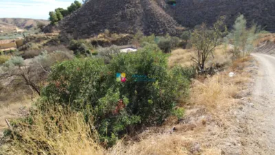 Rustic finca in Oria photo 21