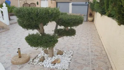 House in Benimira Area photo 23