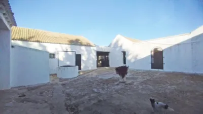 Rustic Finca in Bornos photo 2