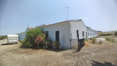 Rustic Finca in Bornos photo 3