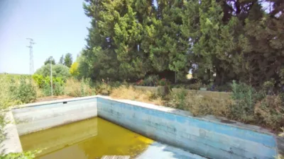 Rustic Finca in Bornos photo 4