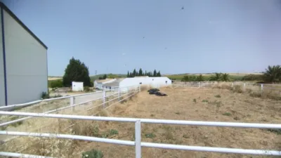 Rustic Finca in Bornos photo 8
