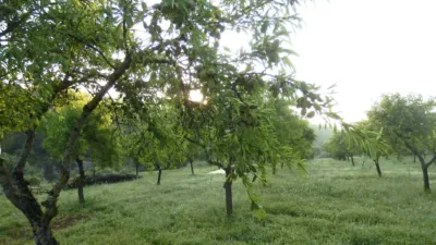 Rustic finca in Miravet photo 10