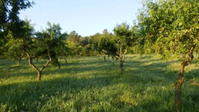 Rustic finca in Miravet photo 13