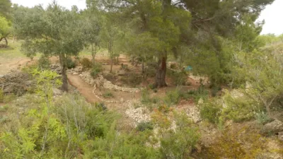 Rustic finca in Miravet photo 14