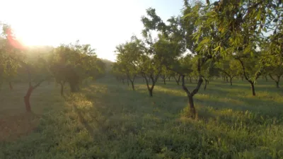 Rustic finca in Miravet photo 15