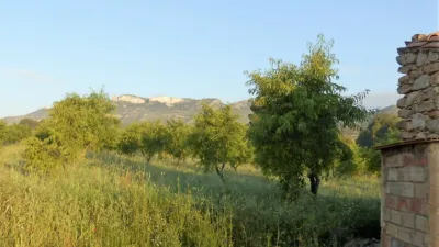 Rustic finca in Miravet photo 2
