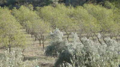 Rustic finca in Miravet photo 3