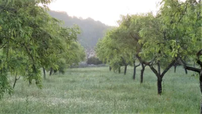 Rustic finca in Miravet photo 4