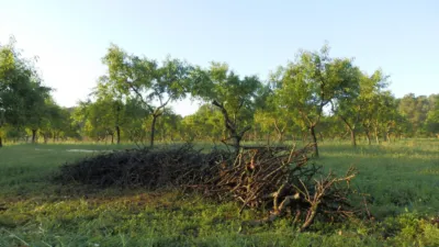 Rustic finca in Miravet photo 5