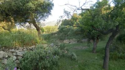 Rustic finca in Miravet photo 6