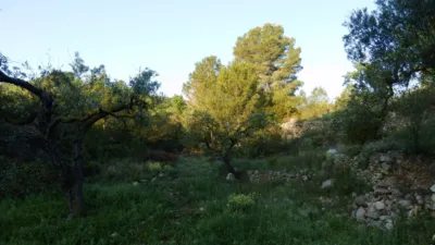 Rustic finca in Miravet photo 9