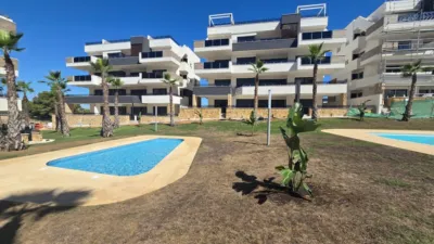 Pis – Orihuela, Paraje Los Almendros, Urbanización la Florida - Vista 5
