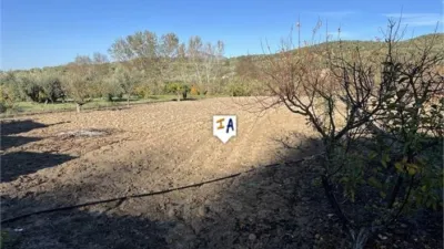 Rustic Finca in Castillo de Locubín photo 4