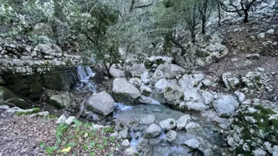 Rustic Finca in Escorca photo 10