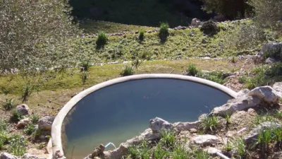 Rustic Finca in Escorca photo 6